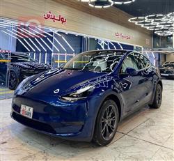 تسلا موديل Y